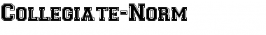 Download Collegiate-Norm Font