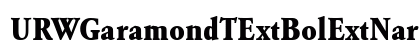URWGaramondTExtBolExtNar Regular preview