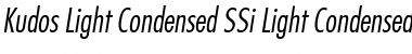 Download Kudos Light Condensed SSi Light Condensed Italic Font